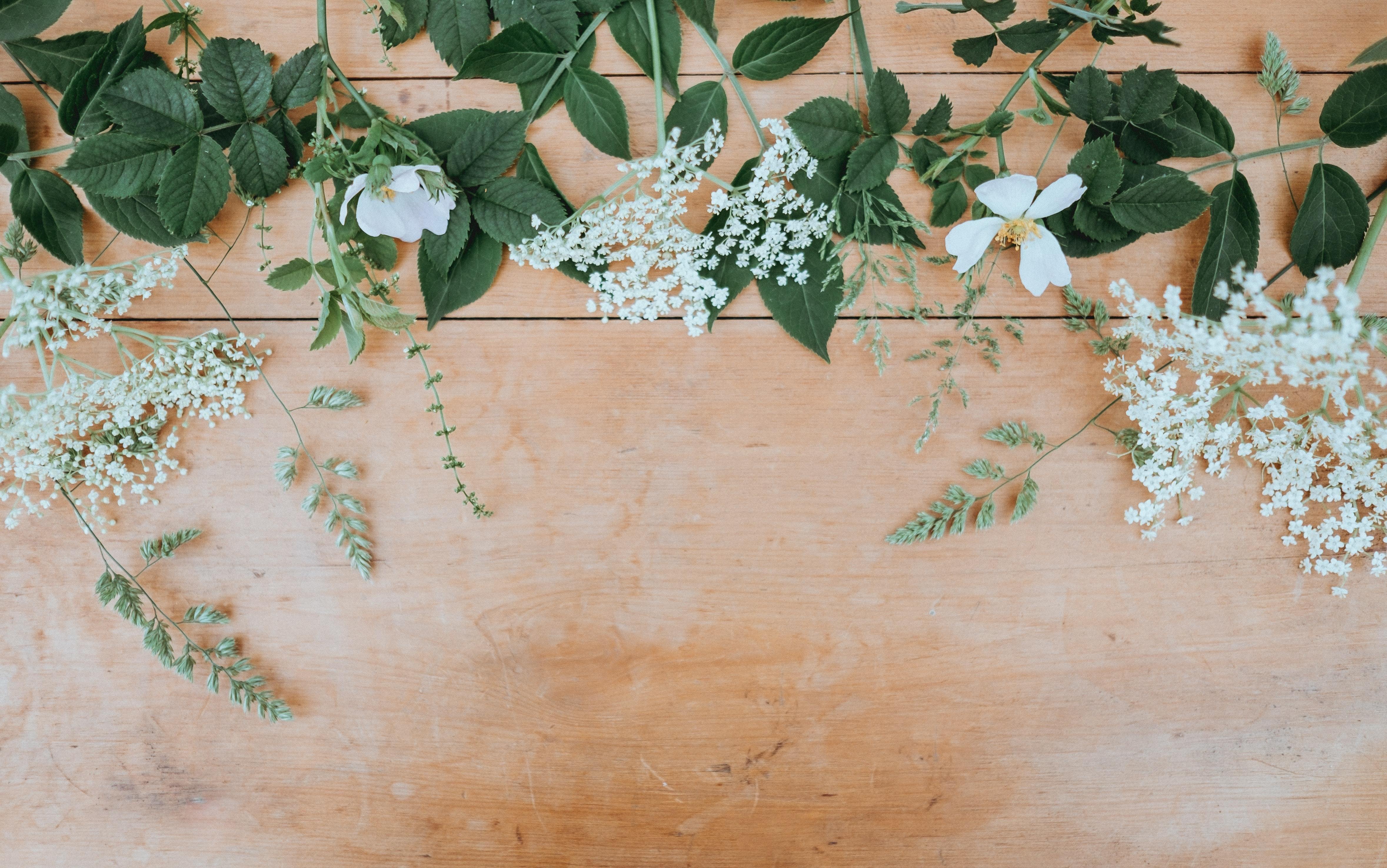 4 Reasons to Try Aromatherapy - KLOSH