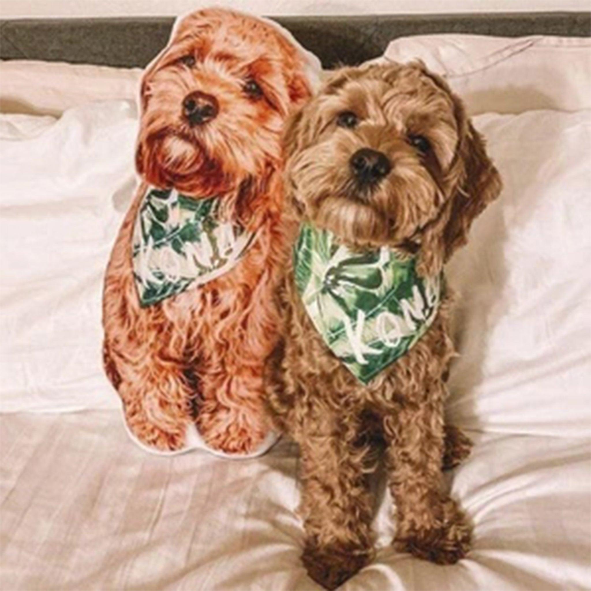 Custom Pet Pillow - KLOSH