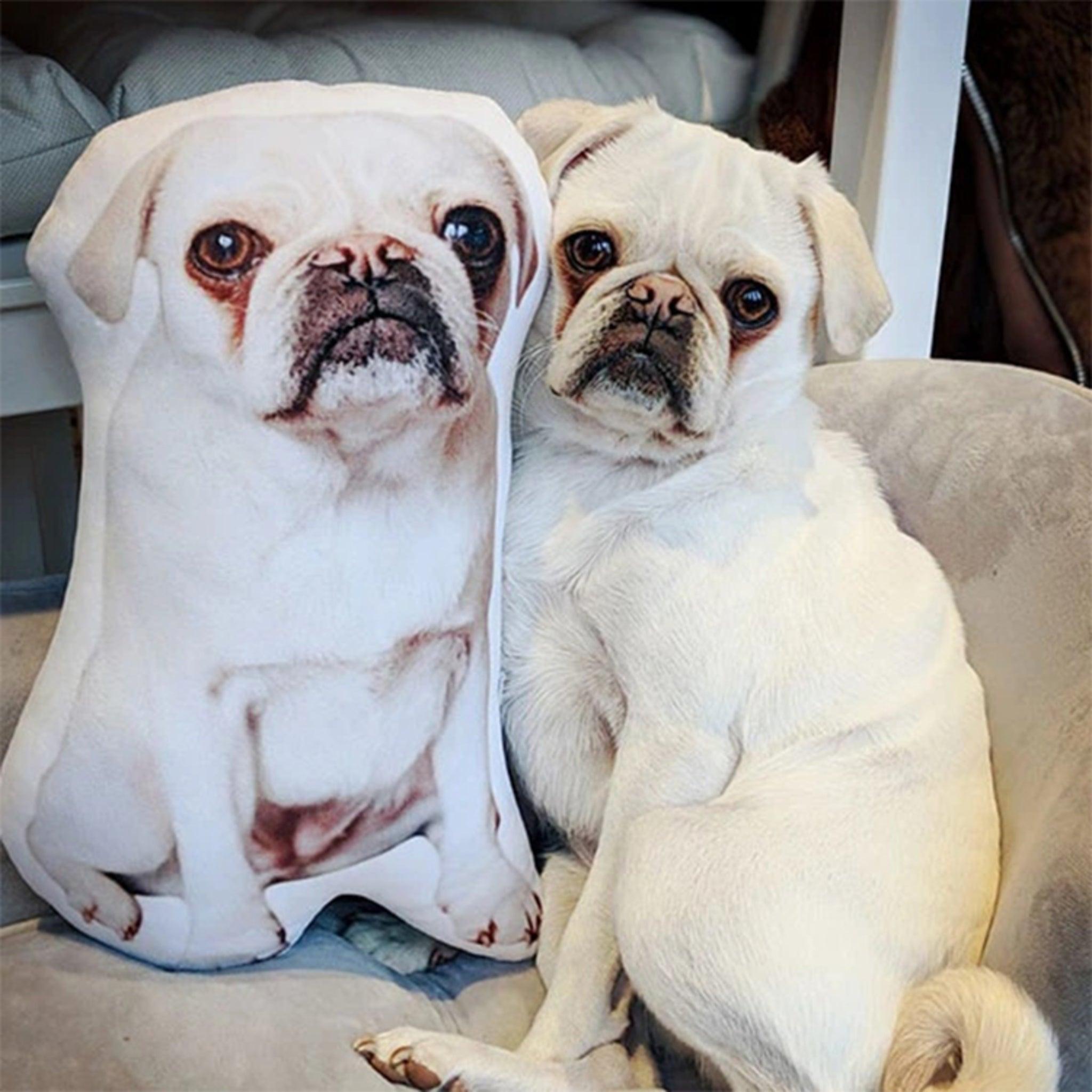 Custom Pet Pillow - KLOSH