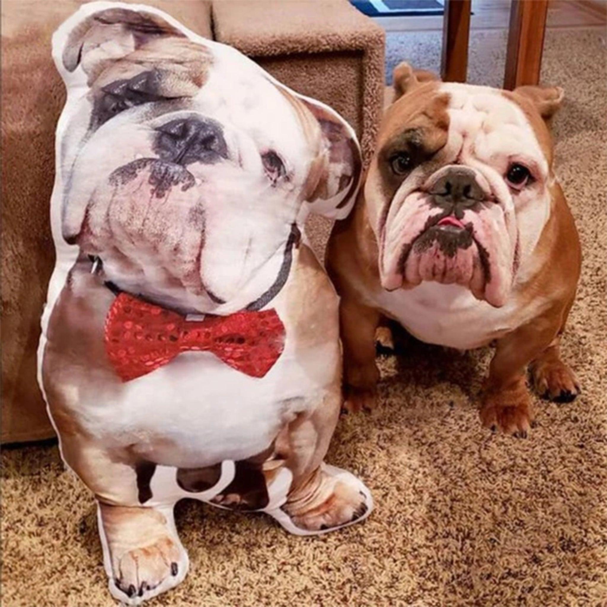 Custom Pet Pillow - KLOSH
