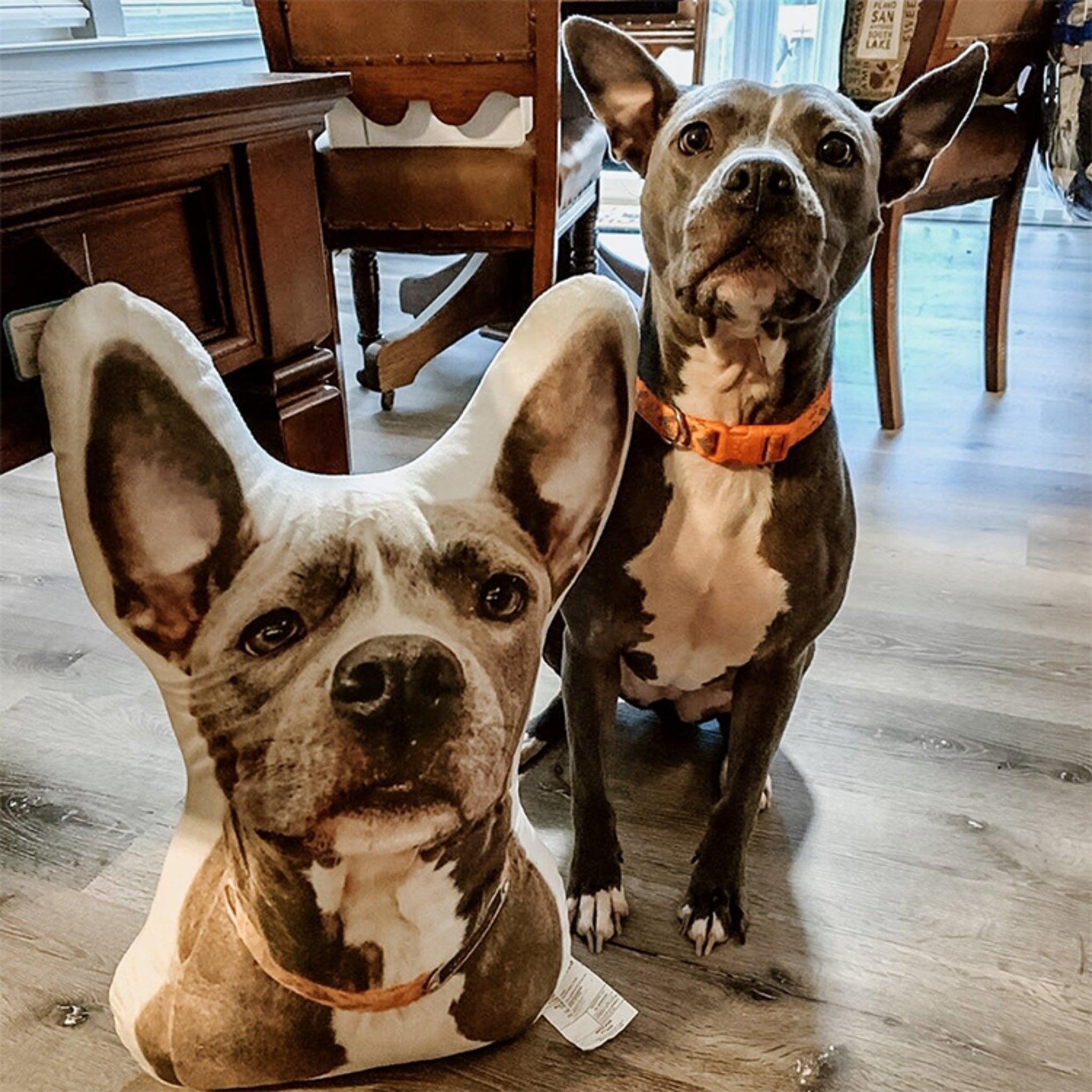 Custom Pet Pillow - KLOSH