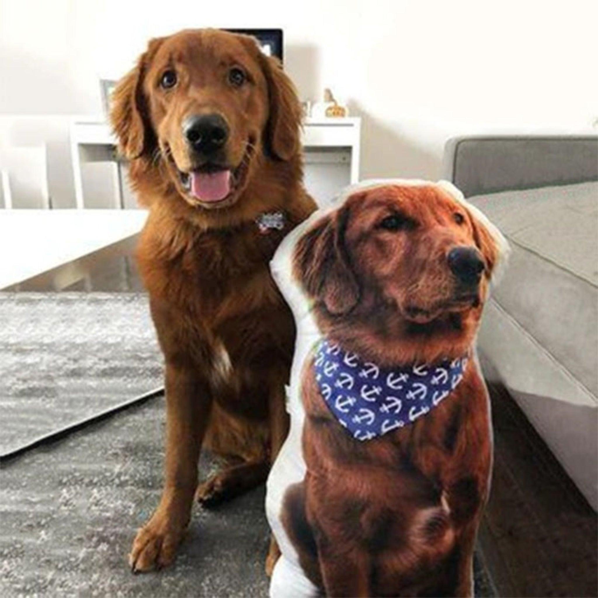 Custom Pet Pillow - KLOSH