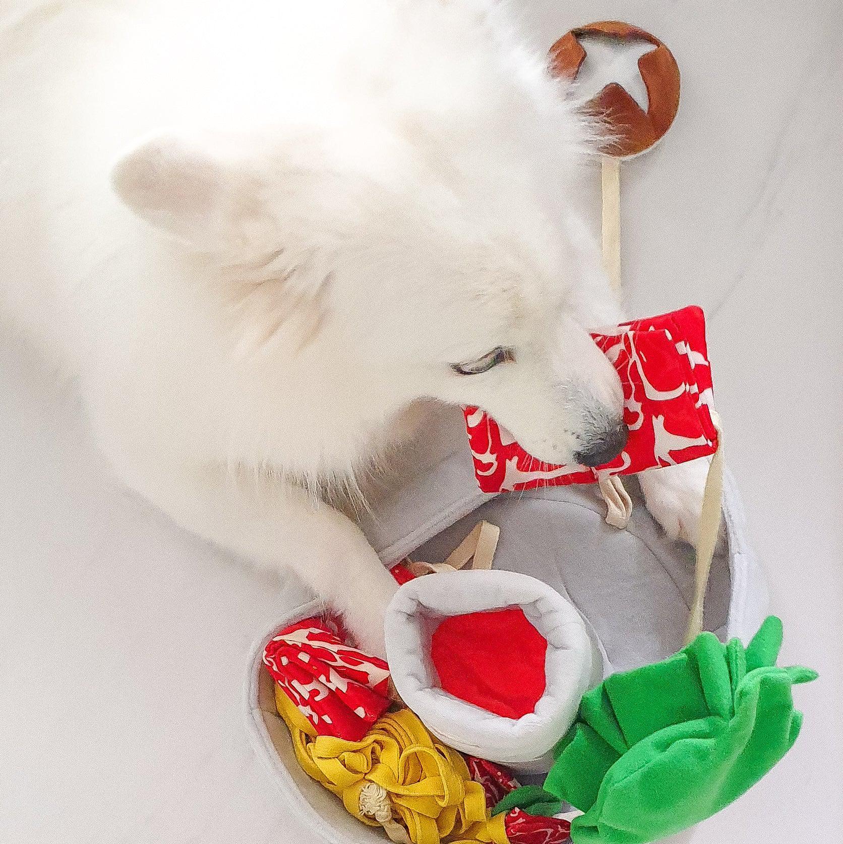 Dog Toy - Hot Pot Interactive Nosework - KLOSH