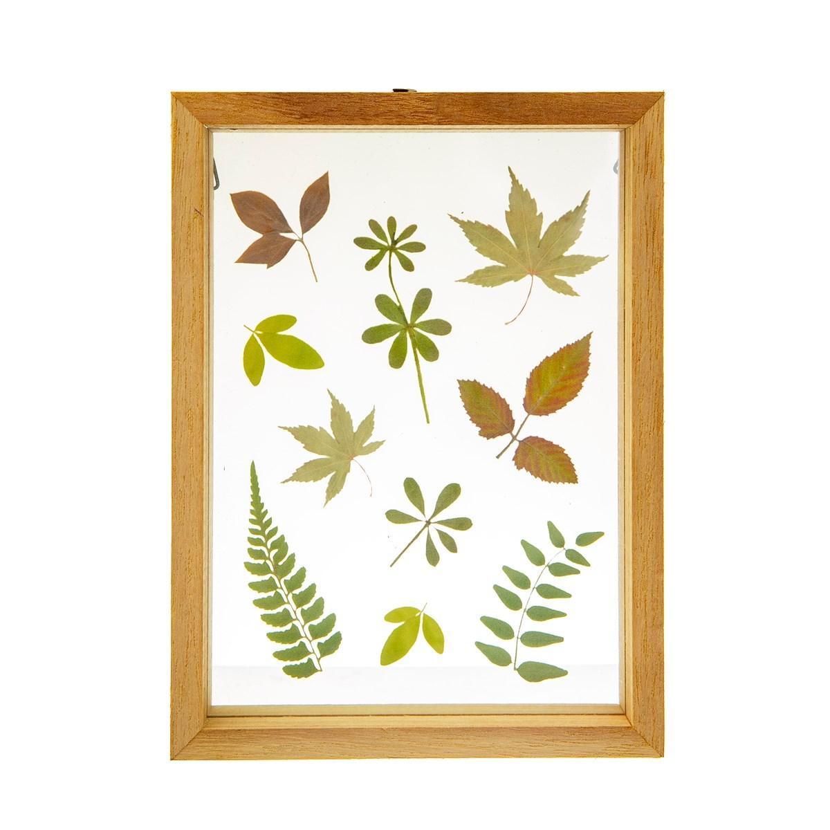 Photo Frame - Herbarium Leaves Floating Frame - KLOSH